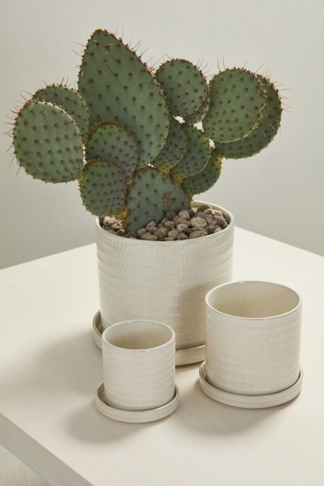 morse pot with saucer