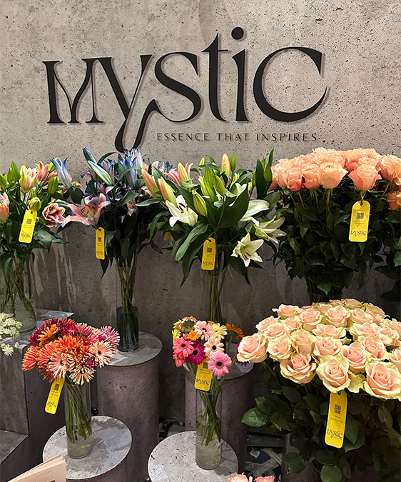 mystic