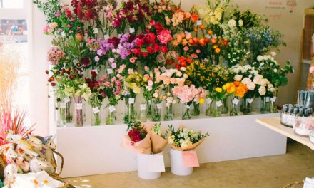 Studio Versus Store: Which Business Model is Right for You? 