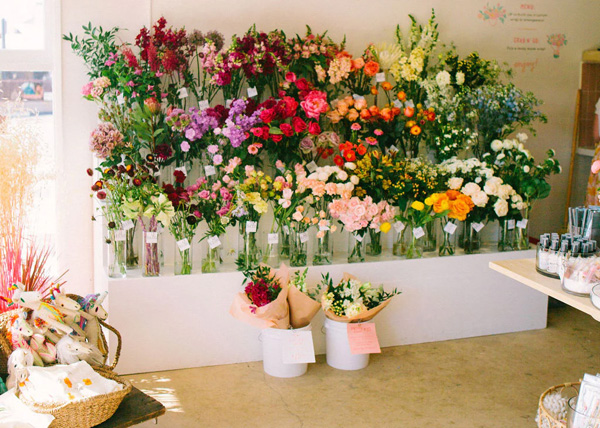 Studio Versus Store: Which Business Model is Right for You? 