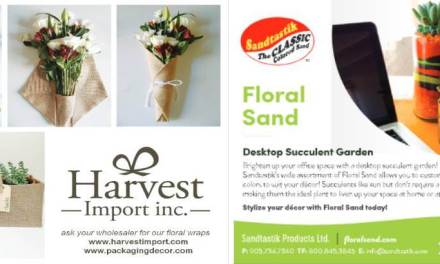 2020 Winter Gift Shows Preview