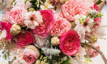 “Garden Rose Design Contest” Winners Showcase