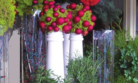 Enticing Holiday Shoppers