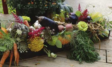 A Feast for the Eyes
