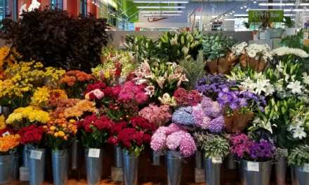 Kelly Cuadra — New Seasons Market; Portland, Ore.