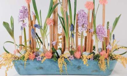 Spring Bulb Garden