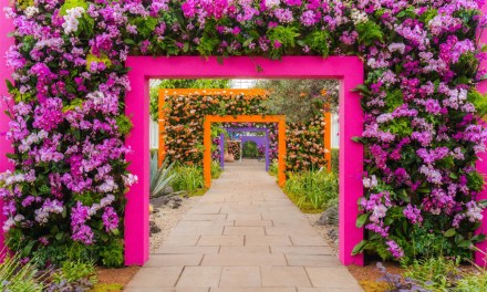 NYBG Orchid Show 2025 – Ode to Mexico