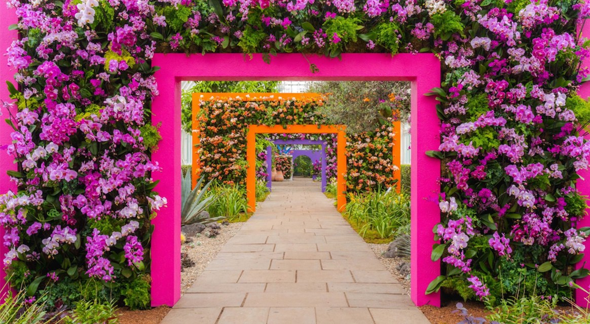 NYBG Orchid Show 2025 – Ode to Mexico