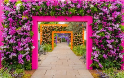 NYBG Orchid Show 2025 – Ode to Mexico