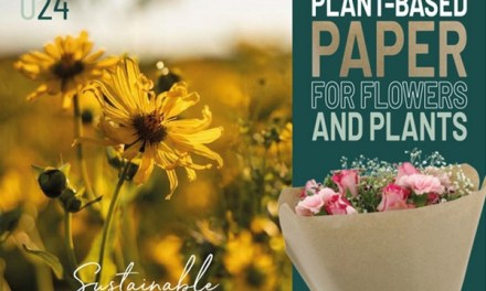 New plant-based paper for flowers and plants