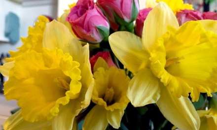 Celebrating From Afar: How A Florist Is Coping With Coronavirus