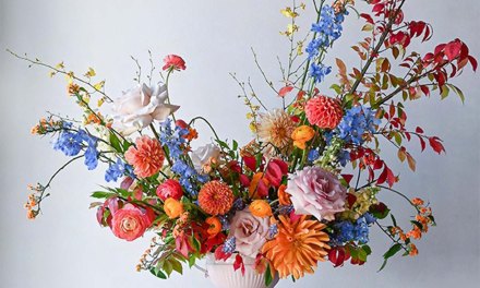 Florist Spotlight: Blue Jasmine
