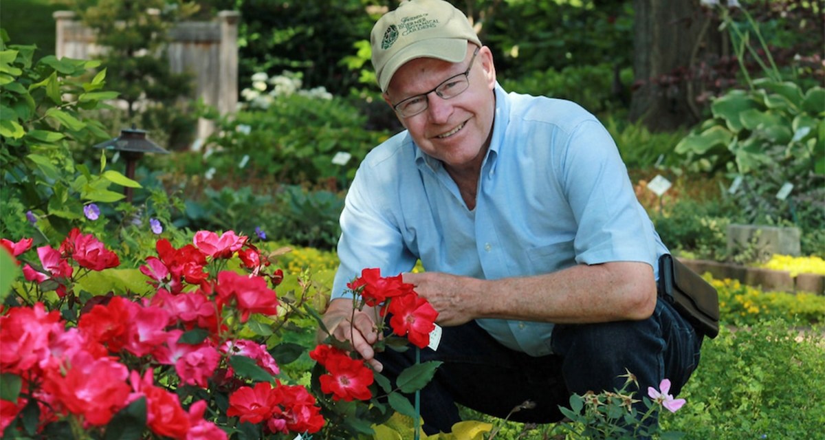 Knock Out® Rose Celebrating it’s 25th Anniversary
