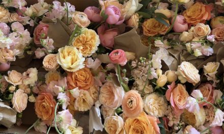 Florabundance Celebrates 30 Years