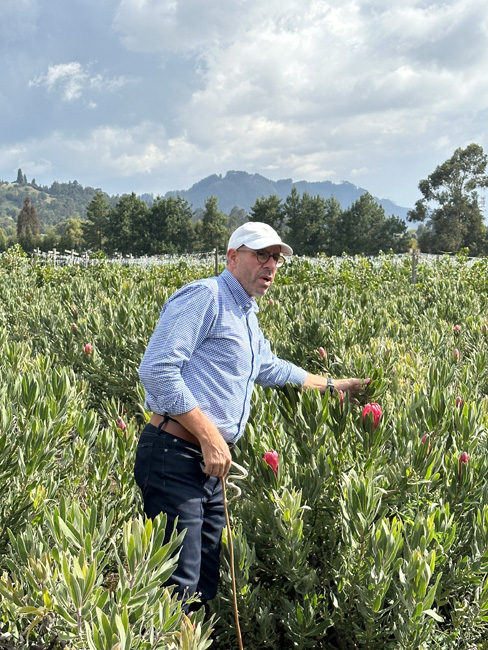 Eli Perez on his protea farm