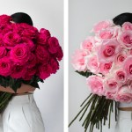 Rosaprima’s Spring Rose Collection