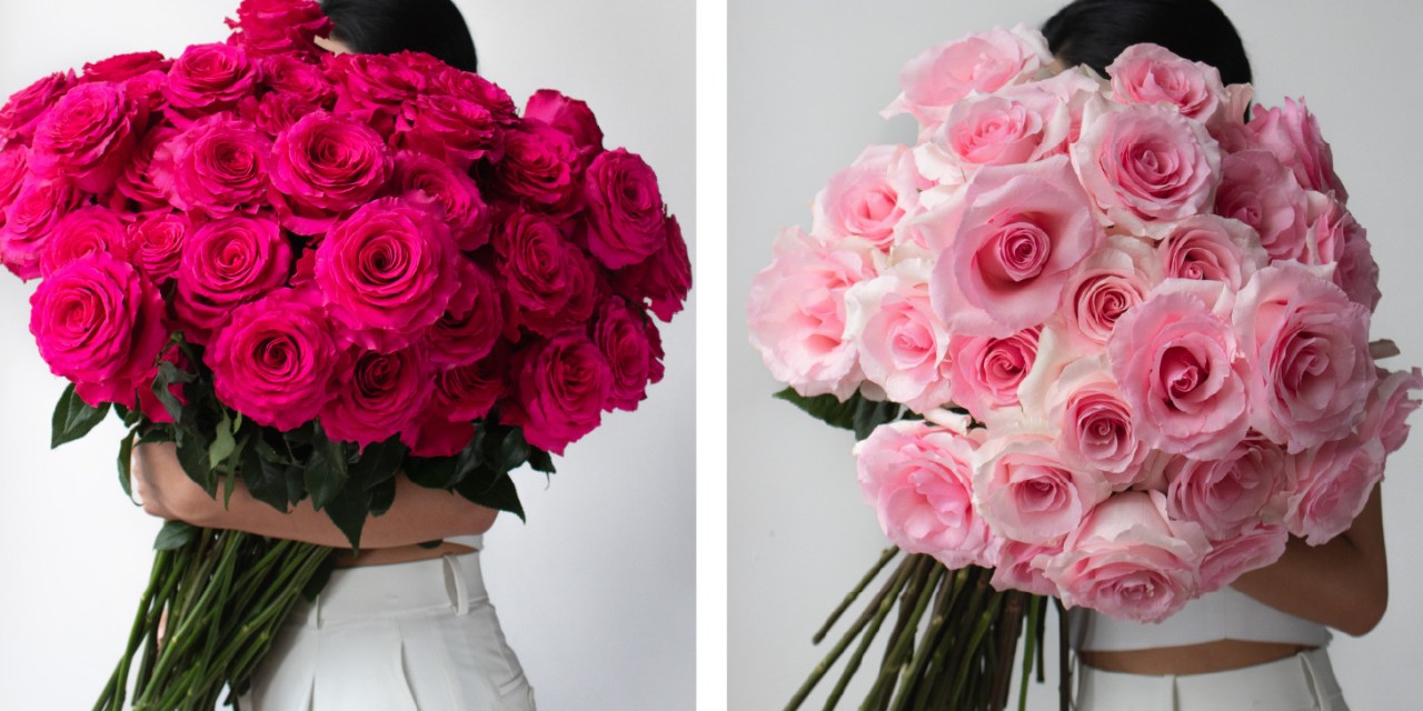 Rosaprima’s Spring Rose Collection