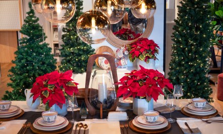 Marketing Houseplants for the Holidays