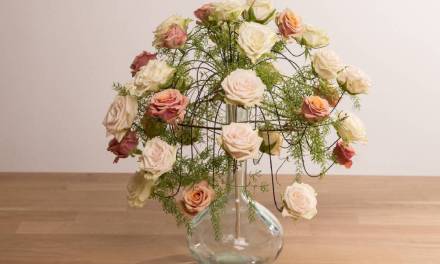 Romancing the Rose
