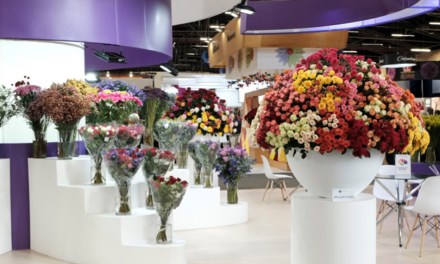 Proflora is Back!