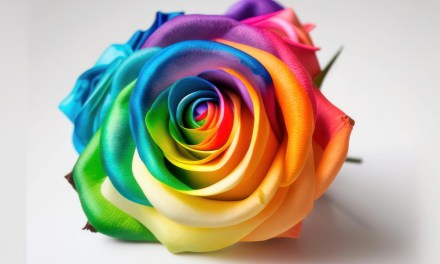 Enter FR’s Show Your Pride Contest