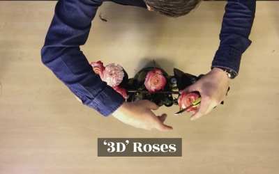 Rock ’n Roses