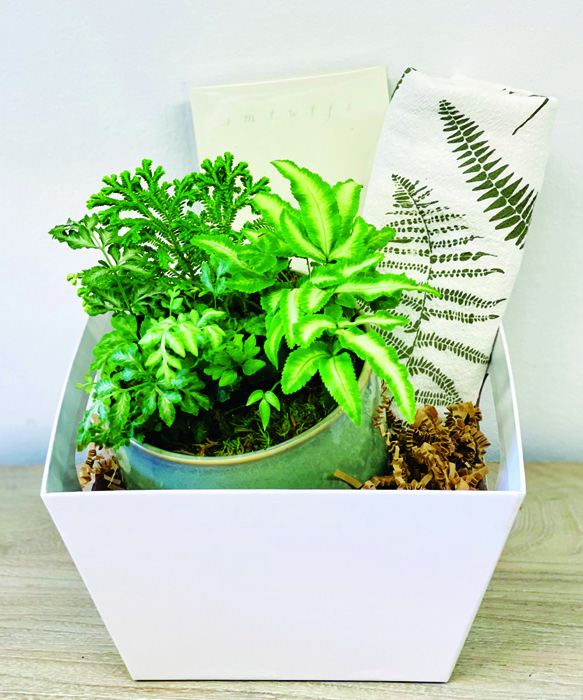 Rusted Window_designer_Rusted Window_photographer_desk plant gift How To Make The Latest Bread Trend: Spring Focaccia Gardens