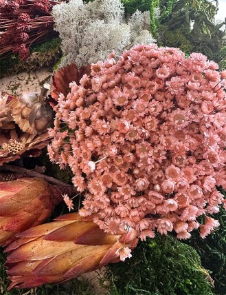 dried flowers