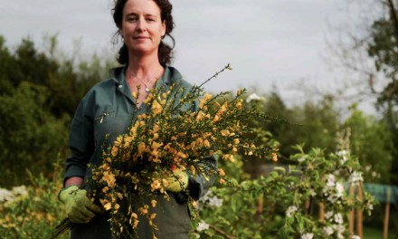 Crowdfunding campaign for eco-friendly flower barn nears its target