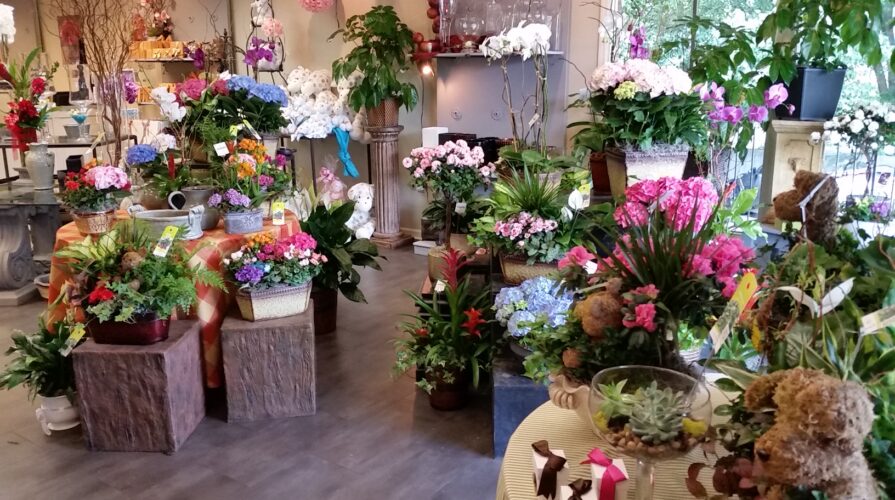store interior