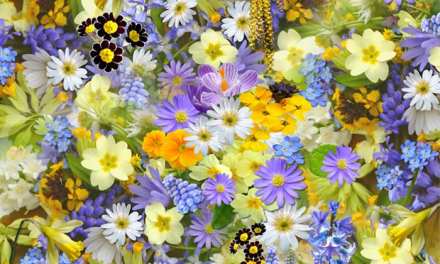 Keep Romance Alive With Unexpected Flowers