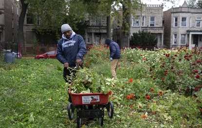 He moved to Englewood because he wanted to. Now, Quilen Blackwell is turning vacant lots into flower farms.