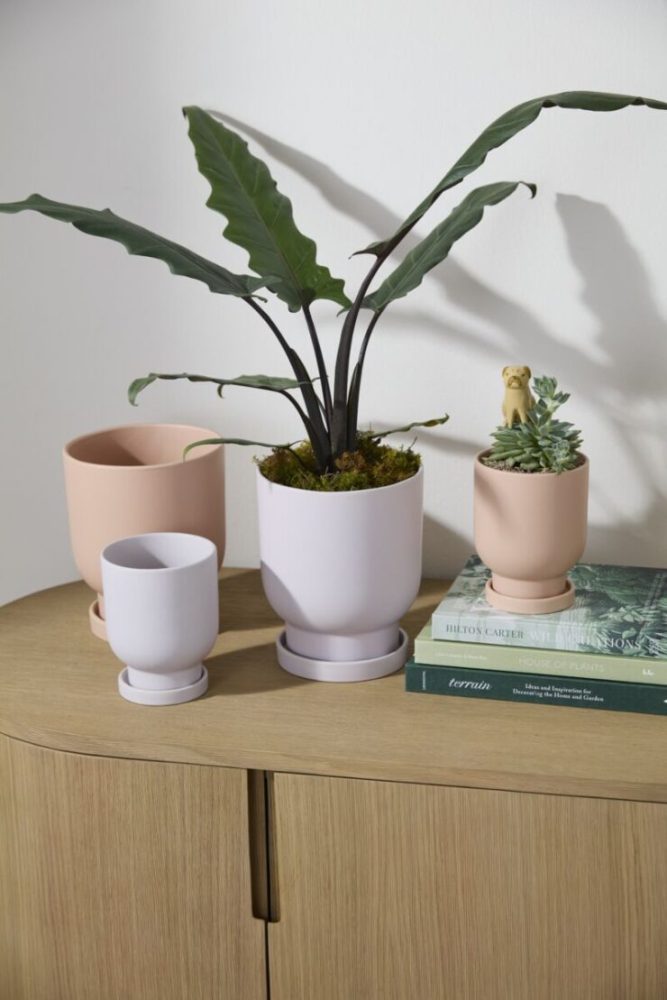 tarrytownpotwithsaucer