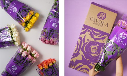 Discover Tavola