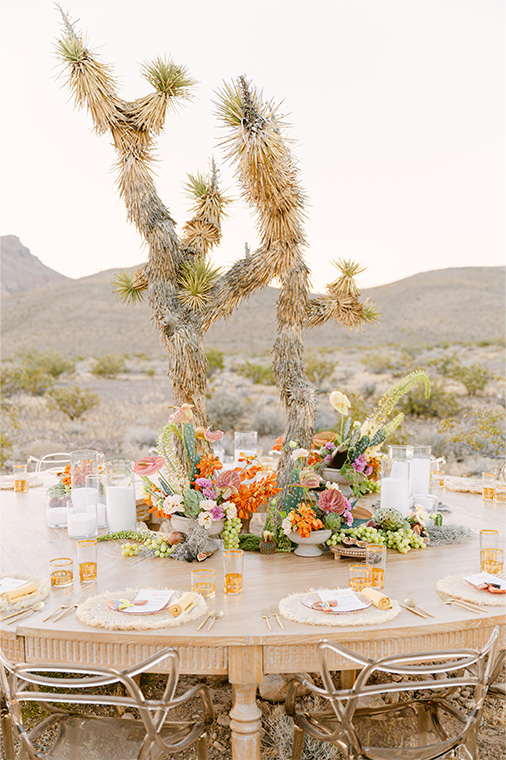 thistle house outdoor western look