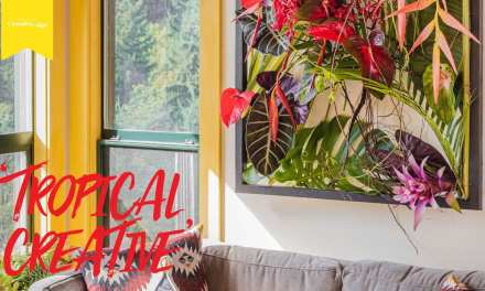 TROPICAL CREATIVE / Creative Edge October 2020 Video!