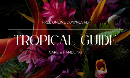 Tropical Floral Design Guide
