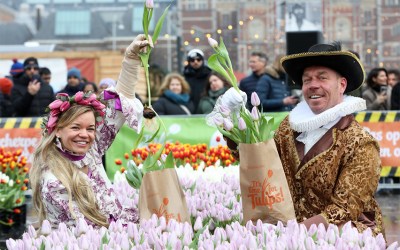 Celebrating National Tulip Day 2025