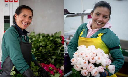Women on the Flower Farm
