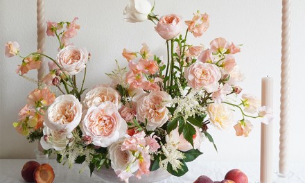 Alexandra Farms 2023 Garden Rose Design Contest