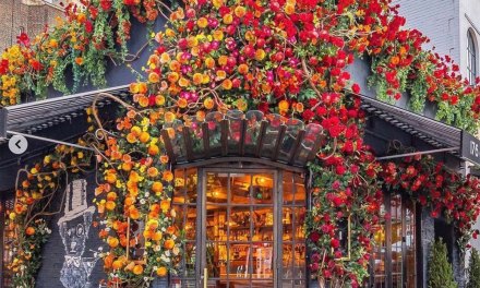 Blooming Installations