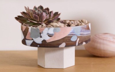 Trending Pots and Planters