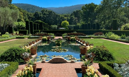 Tripadvisor’s Most Stunning Botanical Gardens