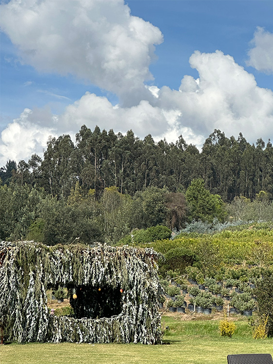 view of the farm