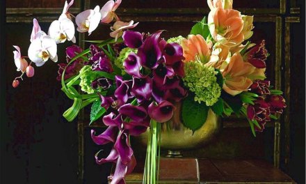 In Season: Amaryllis