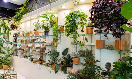 Houseplants for Profit