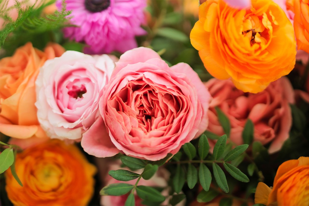 botanicals