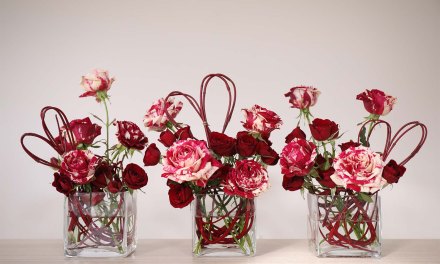 Valentine’s Day Contest Winners