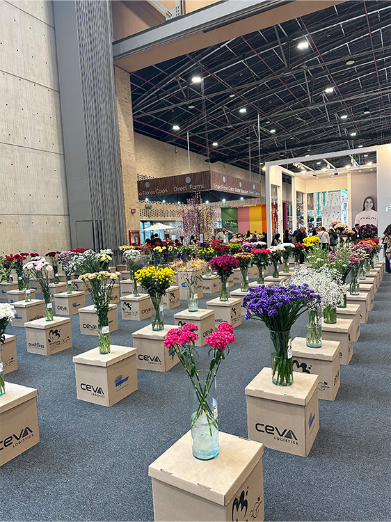 varieties competition