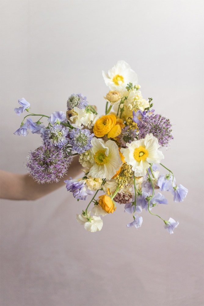 pale yellow and blue flowers